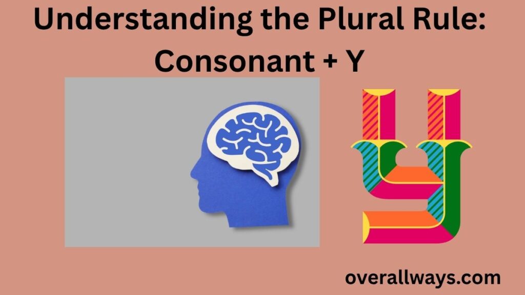 Understanding the Plural Rule: Consonant + Y