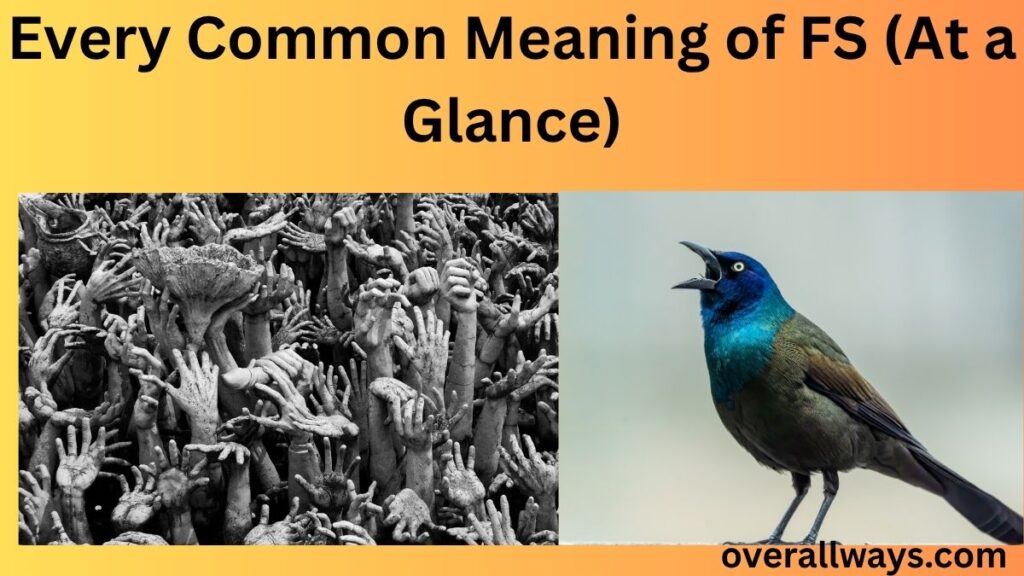 Every Common Meaning of FS (At a Glance)