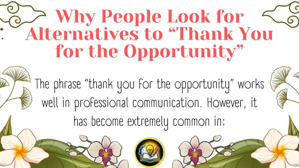 Why People Look for Alternatives to “Thank You for the Opportunity”