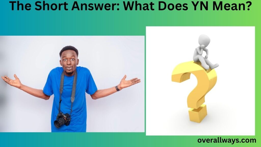 The Short Answer: What Does YN Mean?