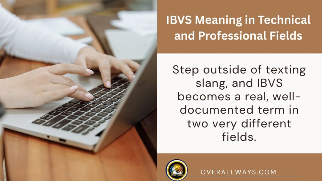 IBVS Meaning in Technical and Professional Fields